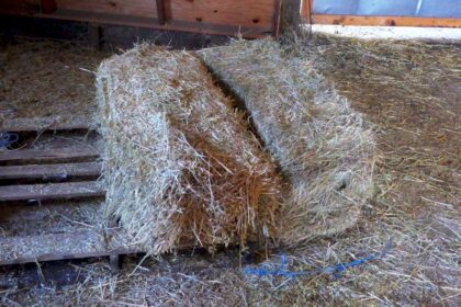 Rural Revolution: A dirty job