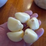 Rural Revolution: A garlic “Eureka”