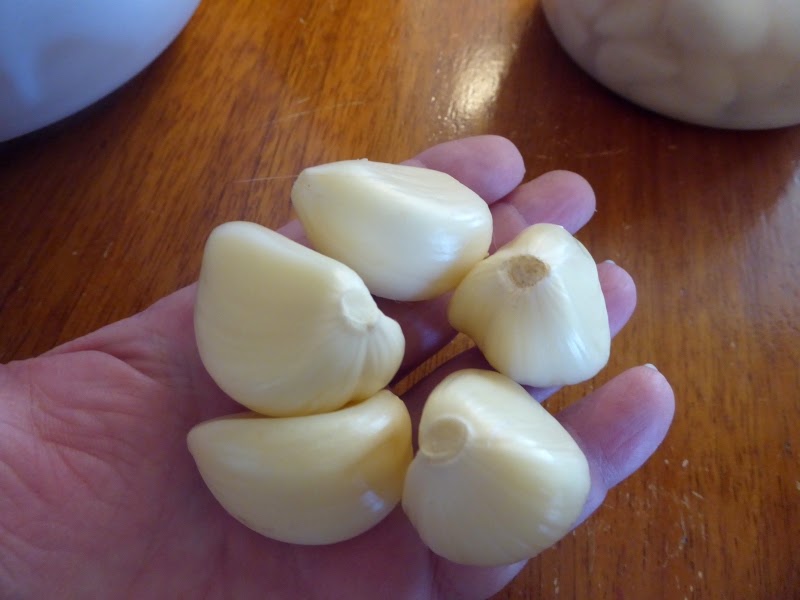 Rural Revolution: A garlic “Eureka”