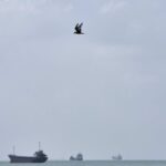 US Hits Iranian Oil Tankers After Attacks on Navy Ships