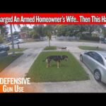 His Wife Was Trapped In The Driveway… Then He Came Back Armed
