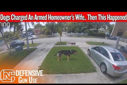 His Wife Was Trapped In The Driveway… Then He Came Back Armed