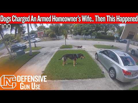 His Wife Was Trapped In The Driveway… Then He Came Back Armed