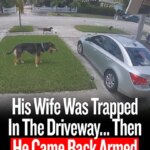 His Wife Was Trapped In The Driveway… Then He Came Back Armed