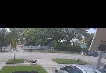 His Wife Was Trapped In The Driveway… Then He Came Back Armed