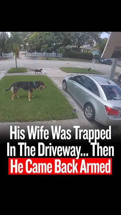 His Wife Was Trapped In The Driveway… Then He Came Back Armed