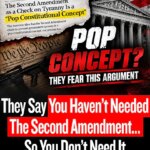 They Say You Haven’t Needed The Second Amendment… So You Don’t Need It