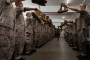 Marine Boots Fail in the Arctic Amid Push for U.S. Manufacturing