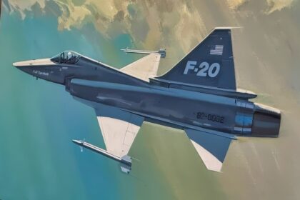 Northrop Spent More Than 0,000,000 of Its Own Money on the F-20 Tigershark Without a Dollar of Pentagon Funding. It Sold 0 Aircraft and Wrote Off About ,200,000,000.