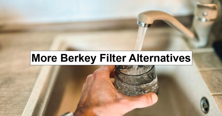 More Berkey Filter Alternatives – reThinkSurvival.com