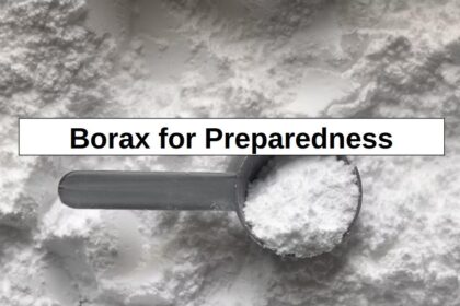 Borax for Prepping (16 Uses) – reThinkSurvival.com