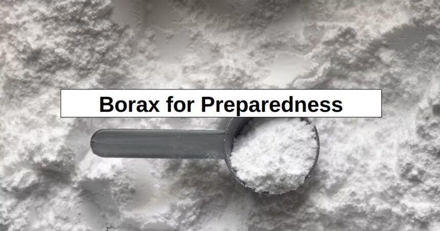 Borax for Prepping (16 Uses) – reThinkSurvival.com