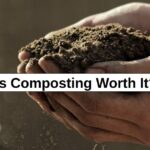 Is Composting Worth It? – reThinkSurvival.com