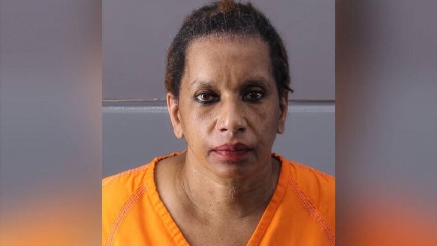 Woman ‘Snapped’ and Murdered Veteran, 64, Shooting Him Three Times