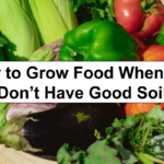 How to Grow Food When You Don’t Have Good Soil – reThinkSurvival.com