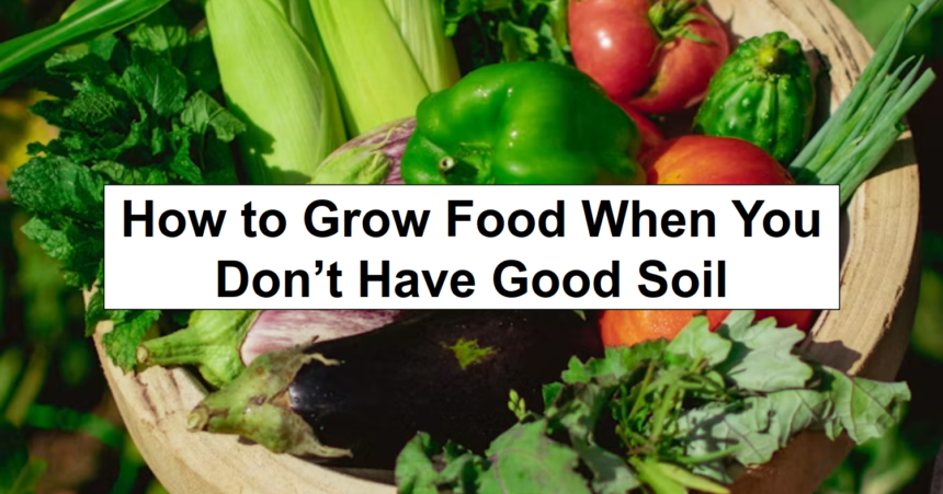 How to Grow Food When You Don’t Have Good Soil – reThinkSurvival.com