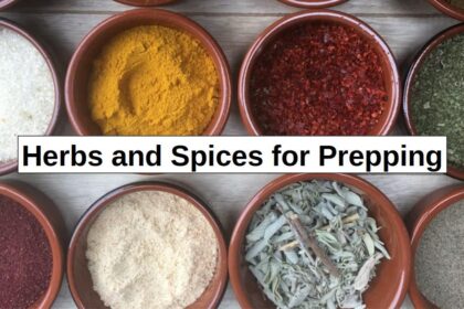 Herbs and Spices for Prepping – reThinkSurvival.com