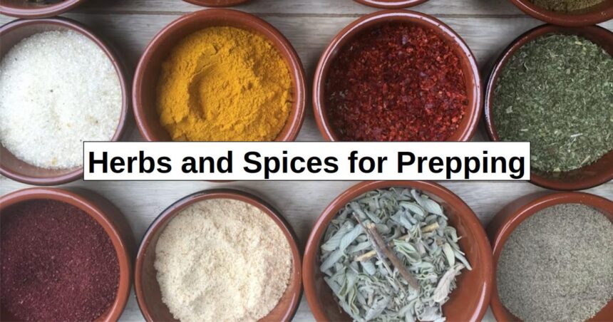 Herbs and Spices for Prepping – reThinkSurvival.com