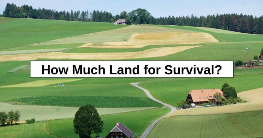 How Much Land for Survival? (My Answer Surprised Me) – reThinkSurvival.com