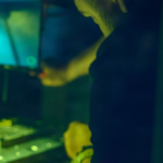 Navy Tests 3D Printing and Parts Delivery at RIMPAC 2026