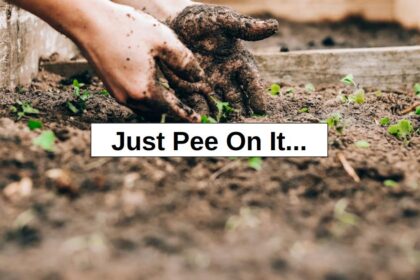 Just Pee On It… – Re Think Survival