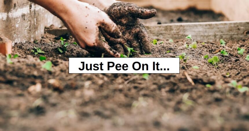 Just Pee On It… – Re Think Survival