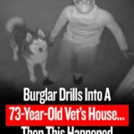 Burglar Drills Into A 73-Year-Old Vet’s House… Then This Happened