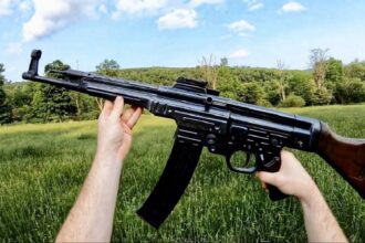 The Rifle That Changed Warfare Forever